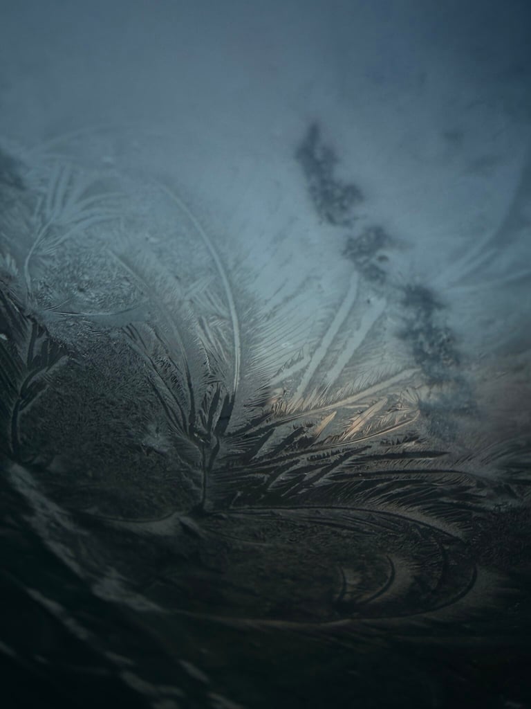 Frost on the window at sunrise