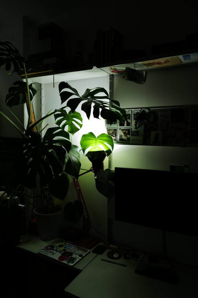 Heavy start to the work week today.