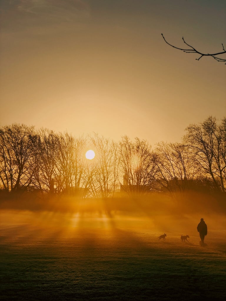 Beautiful light this morning.