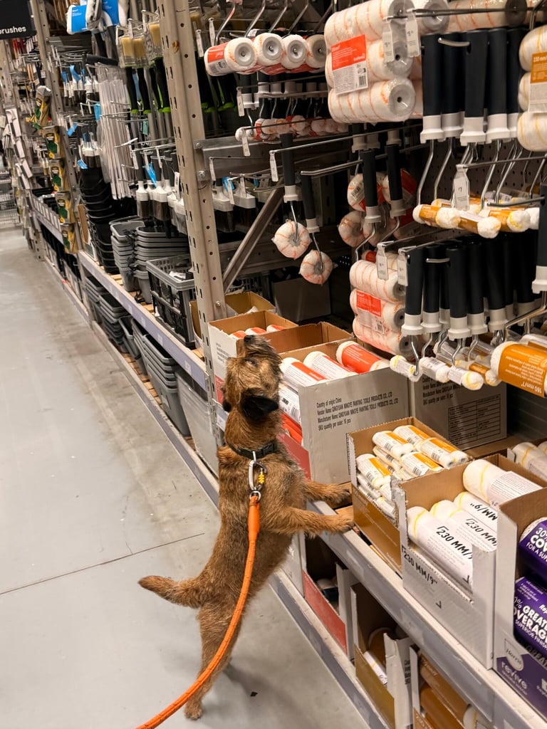 Maude having the best time in B&Q.