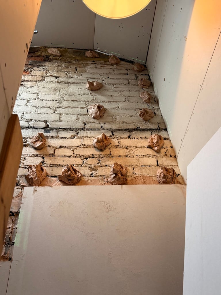 Didn’t leave the house today, very busy with builders and other DIY.