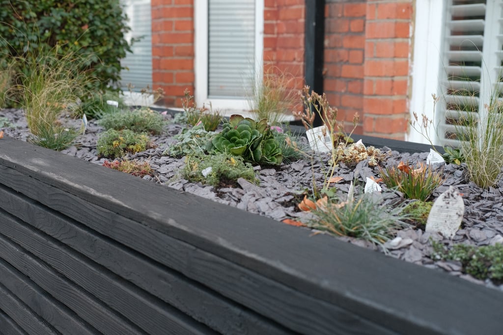 A close up of the alpine plants on our bike box