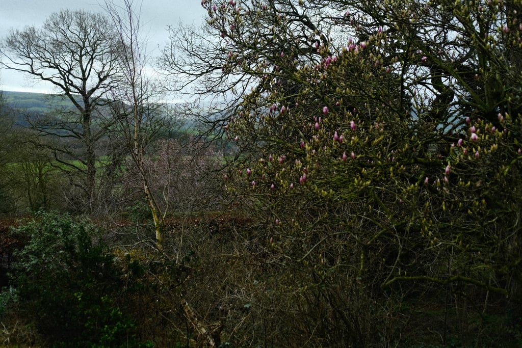 The view from the King’s house near
Hay-on-Wye