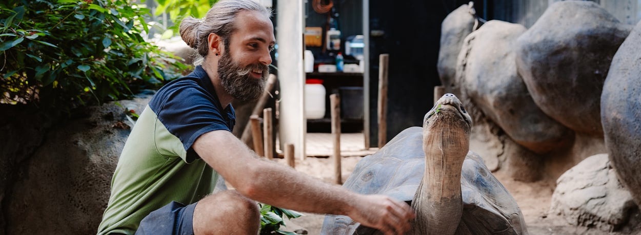 Cao dierentuin
