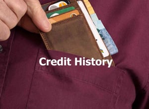 CIBIL Score(Credit History) Check