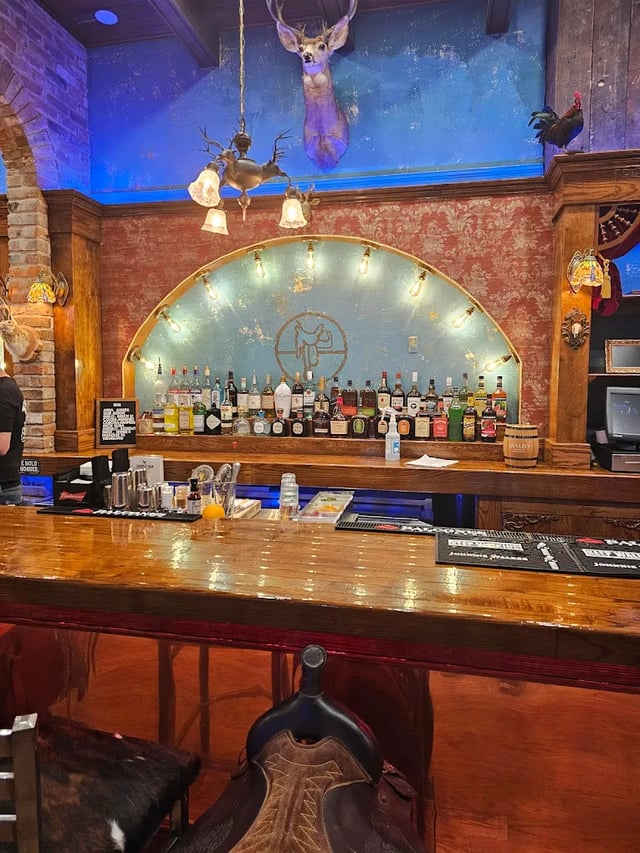 Saddle Bar, Bienville Street, New Orleans, LA, USA