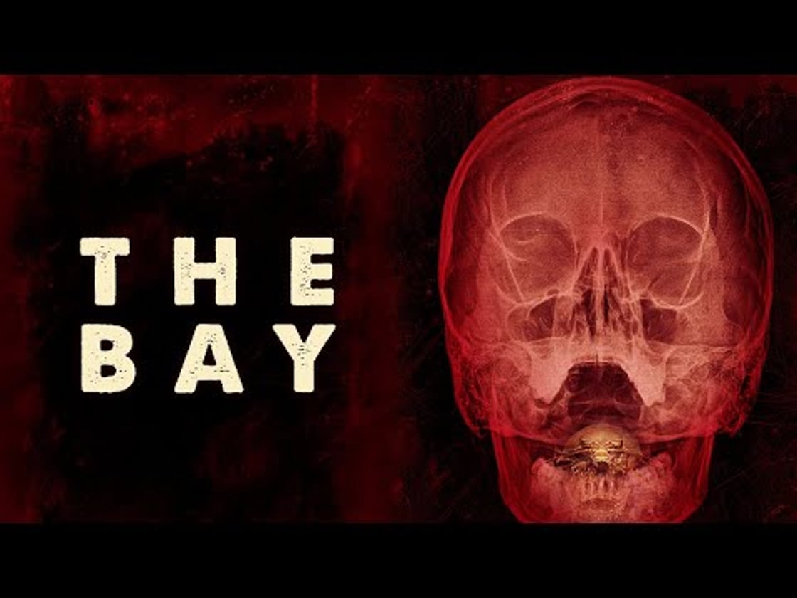 Bande annonce de THE BAY