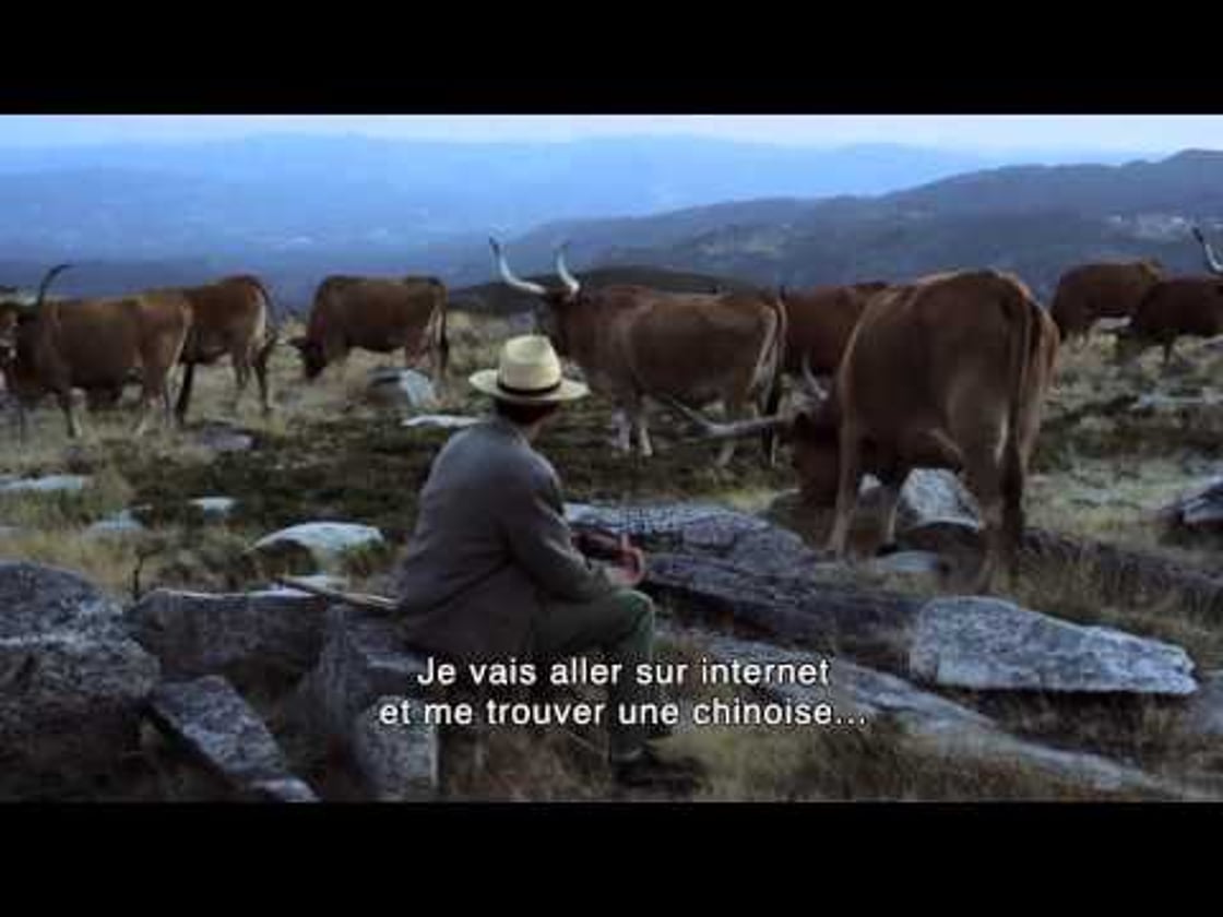 Bande annonce de VOLTA À TERRA