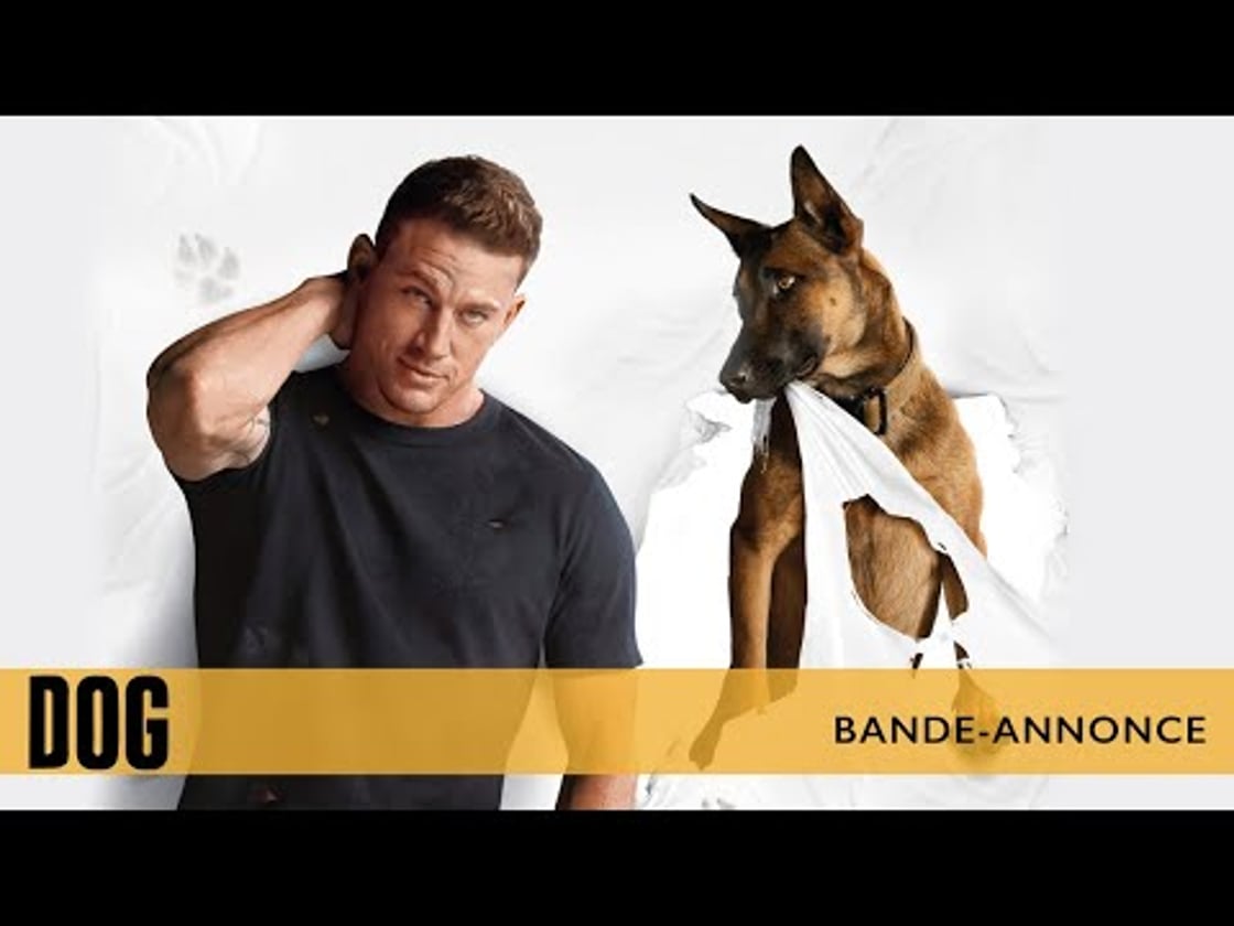 Bande annonce de Dog (VF)