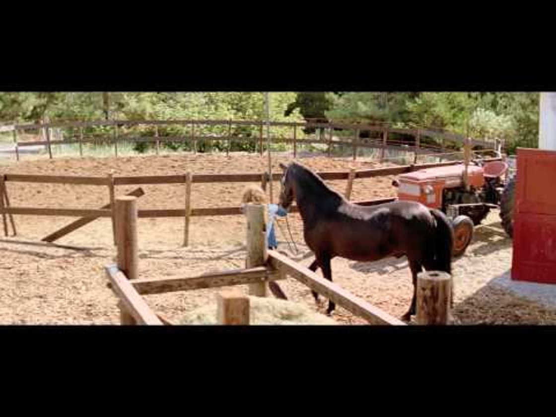 Bande annonce de SHADOW & MOI (VF)