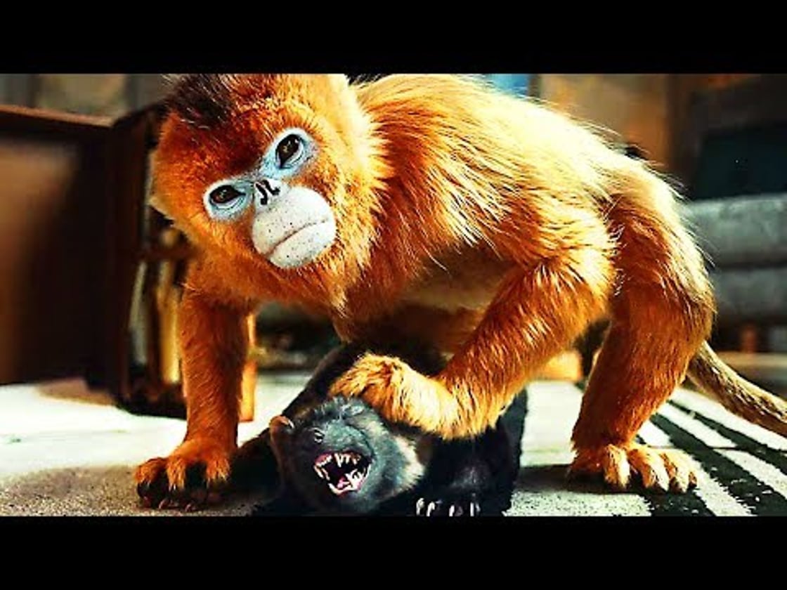 Bande annonce de HIS DARK MATERIALS