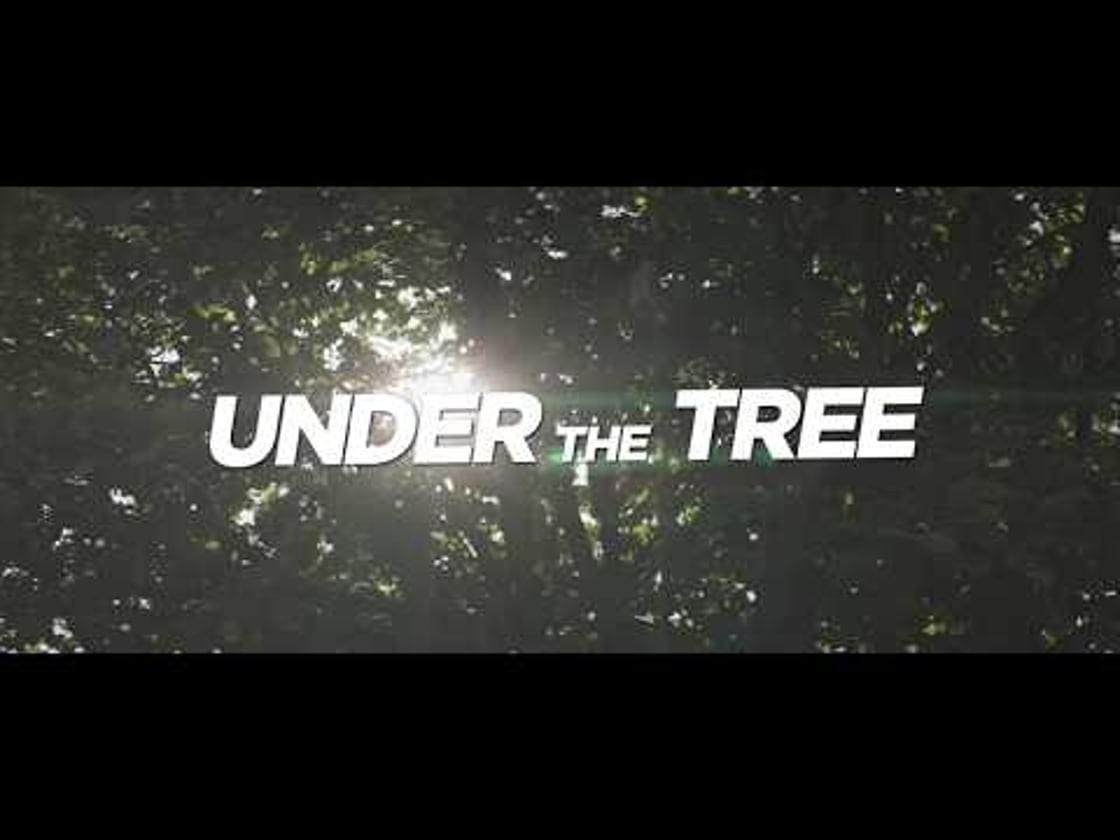 Bande annonce de UNDER THE TREE