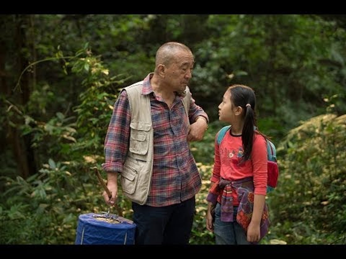 Bande annonce de Le Promeneur d'Oiseau (VOST)