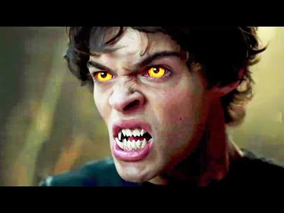 Bande annonce de WOLF PACK