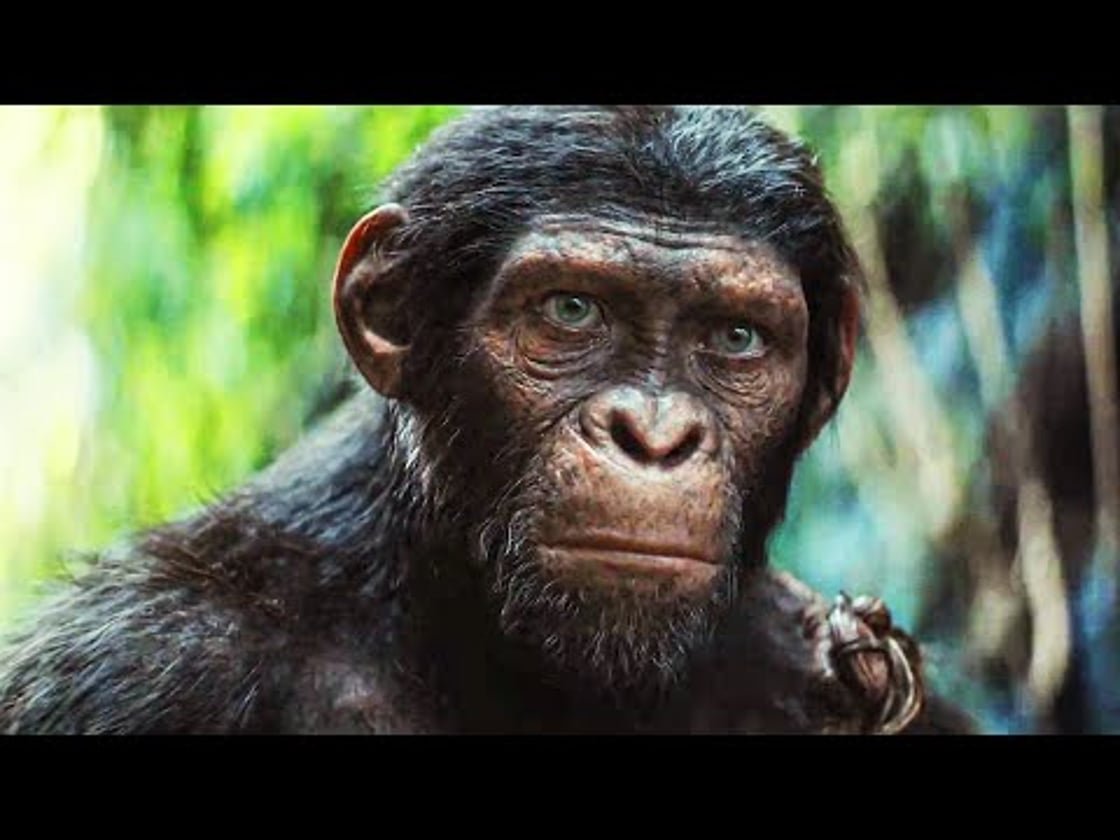 Bande annonce de La Planète des singes : Nouveau Royaume