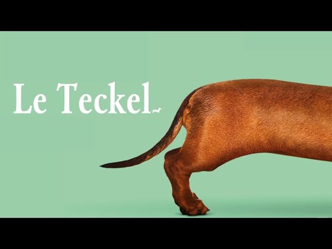 Bande annonce de LE TECKEL