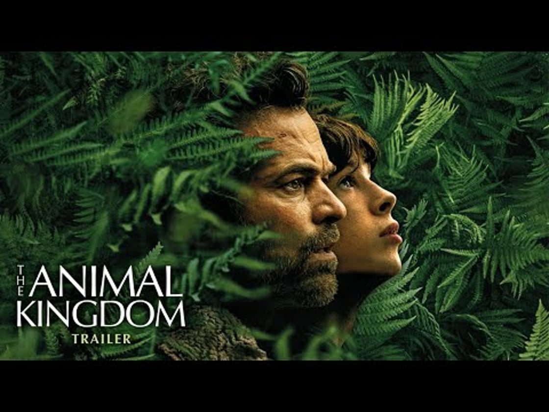 Bande annonce de THE ANIMAL KINGDOM