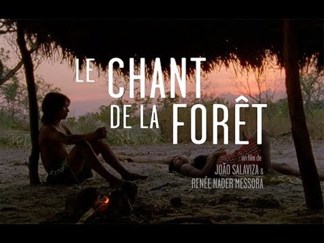 Bande annonce de LE CHANT DE LA FORÊT