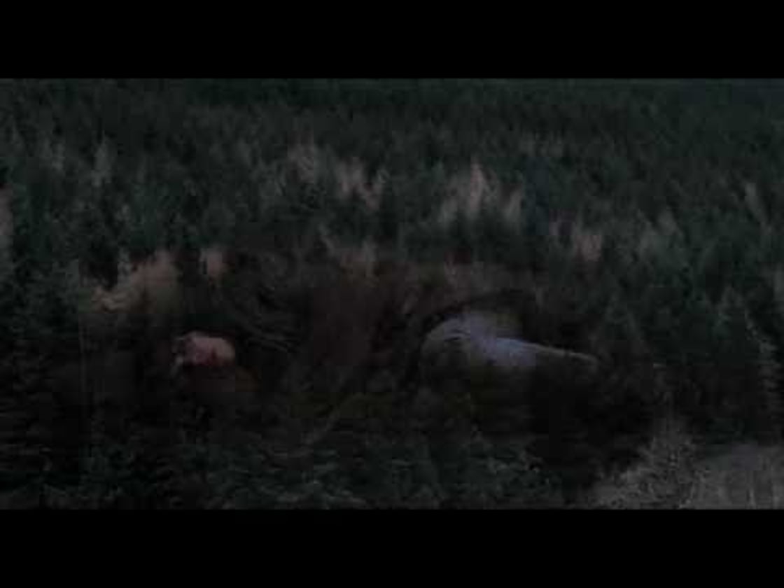 Bande annonce d'UNDER THE SKIN