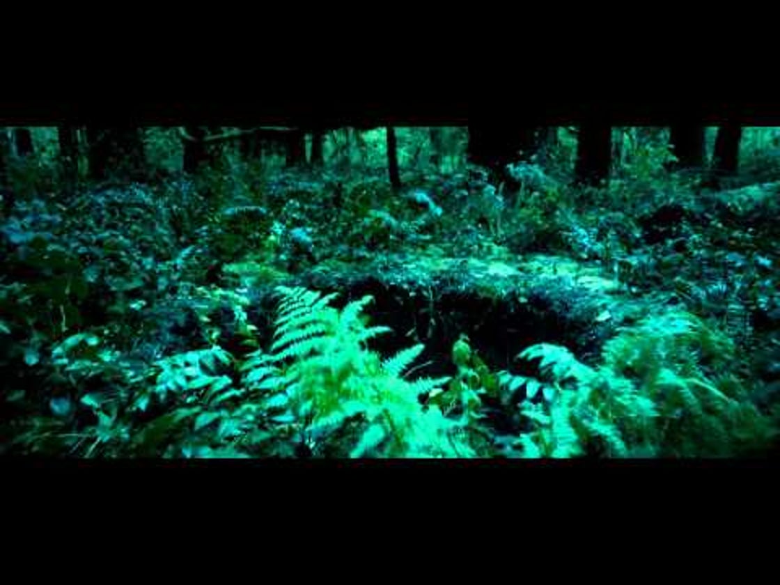 Bande annonce de DISPARUE (VF)