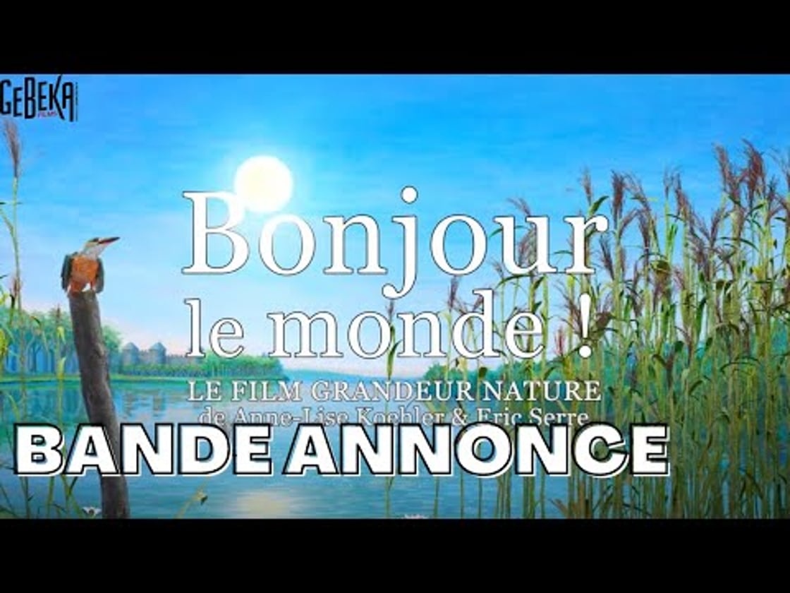 Bande annonce de BONJOUR LE MONDE !