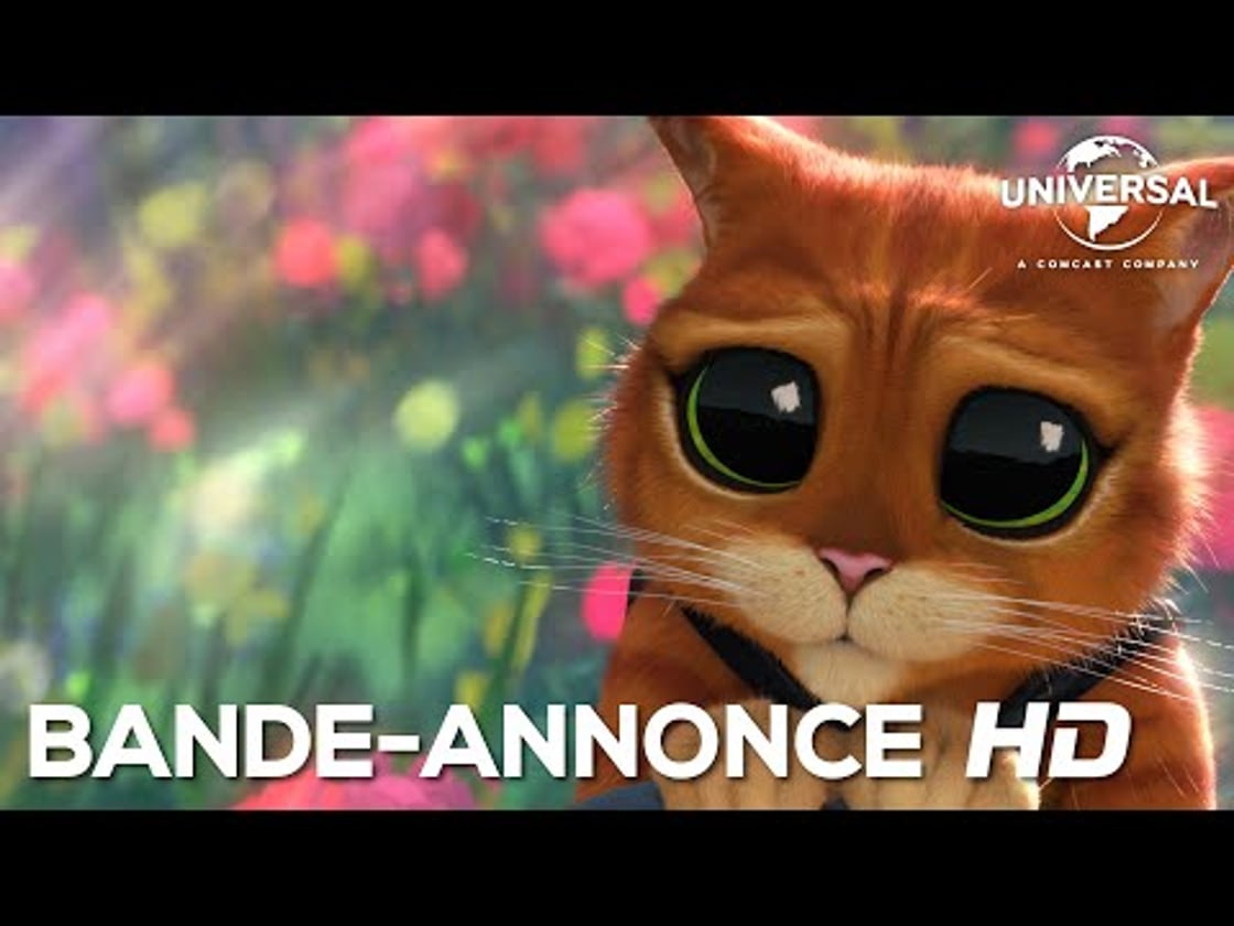 Bande annonce de Le Chat Potté 2 : La Dernière Quête (VF)