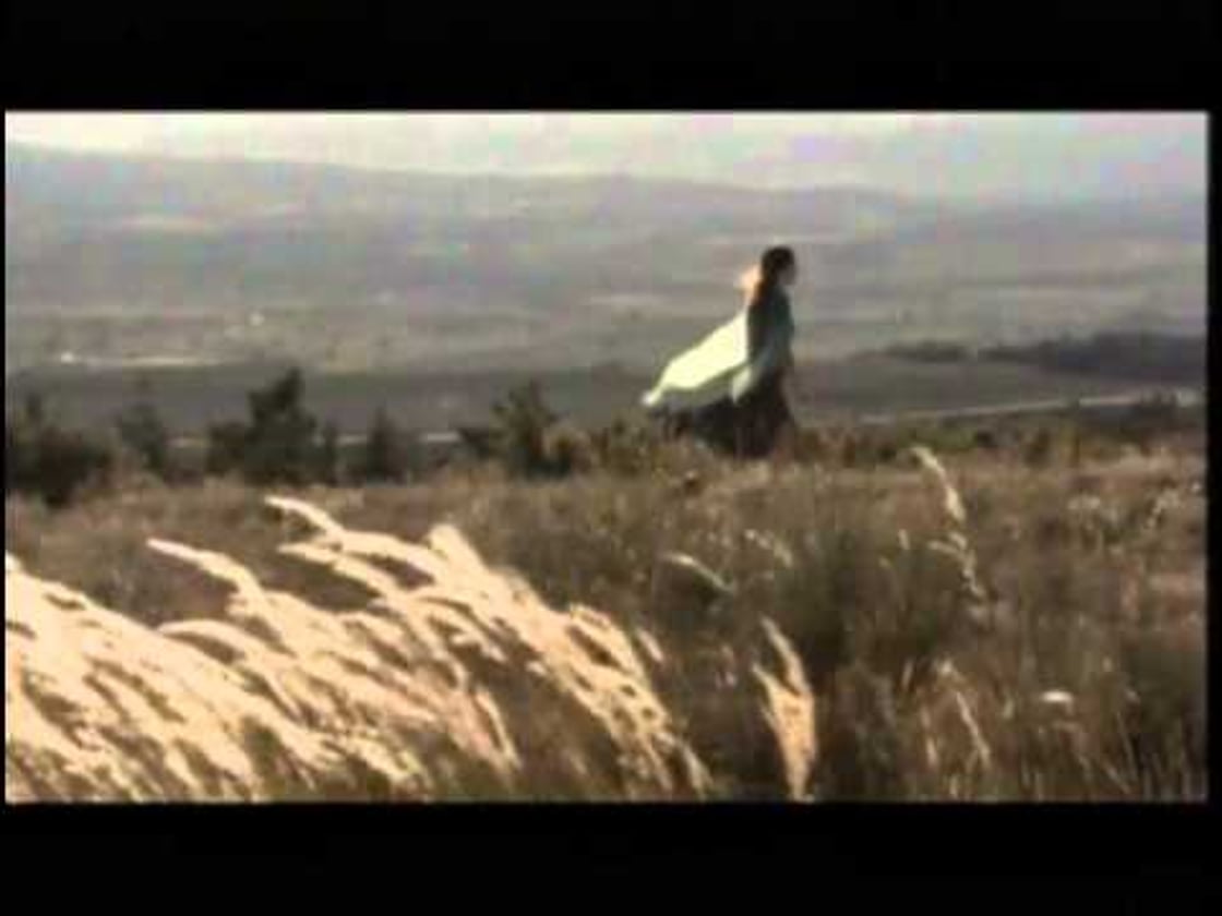 Bande annonce de La Terre de la folie