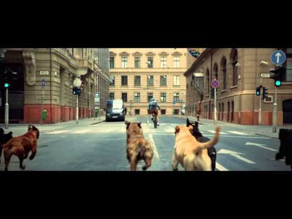 Bande annonce de White God