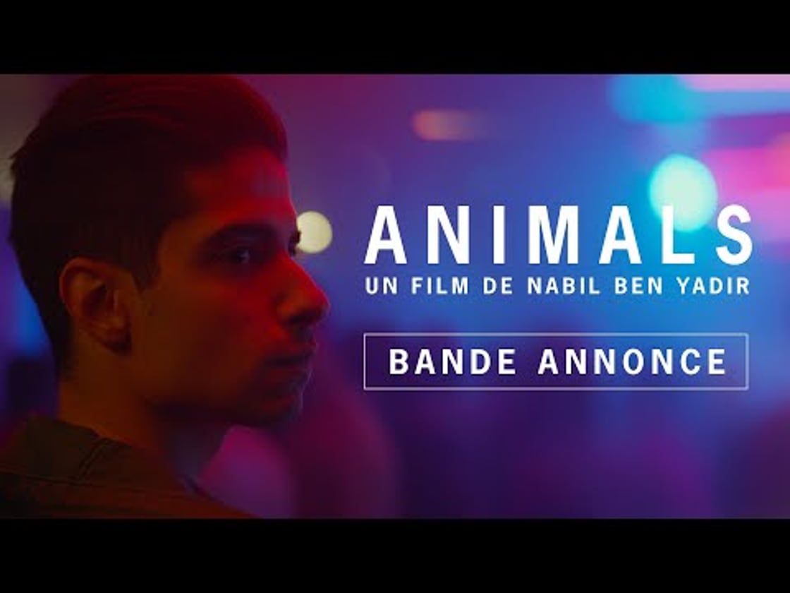 Bande annonce de Animals