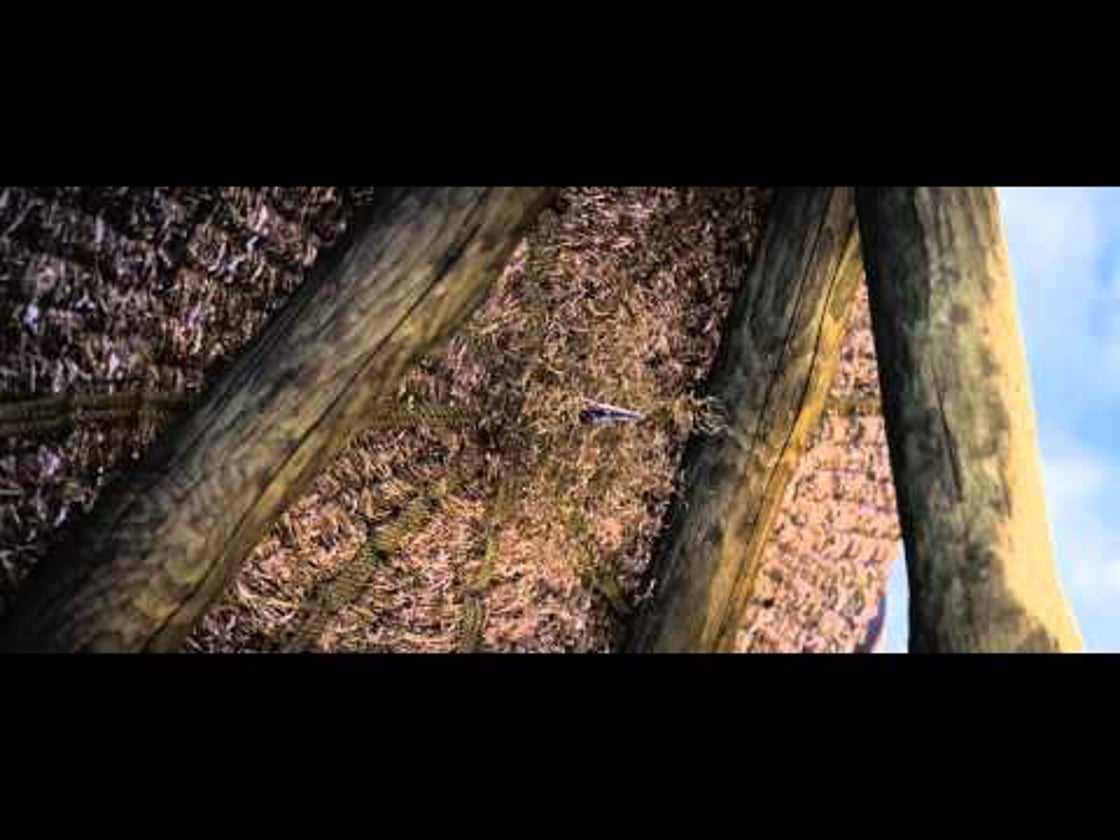 Bande annonce de Rebelle