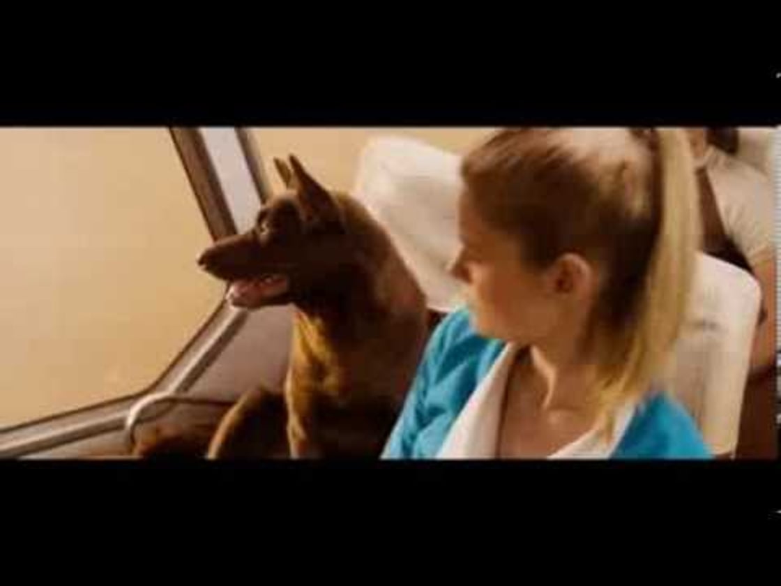 Bande annonce de RED DOG (VF)