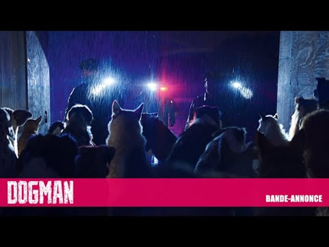 Bande annonce de Dogman (VF)