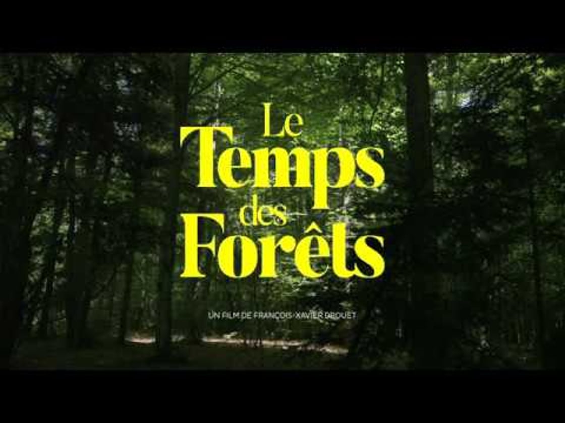Bande annonce de LE TEMPS DES FORETS