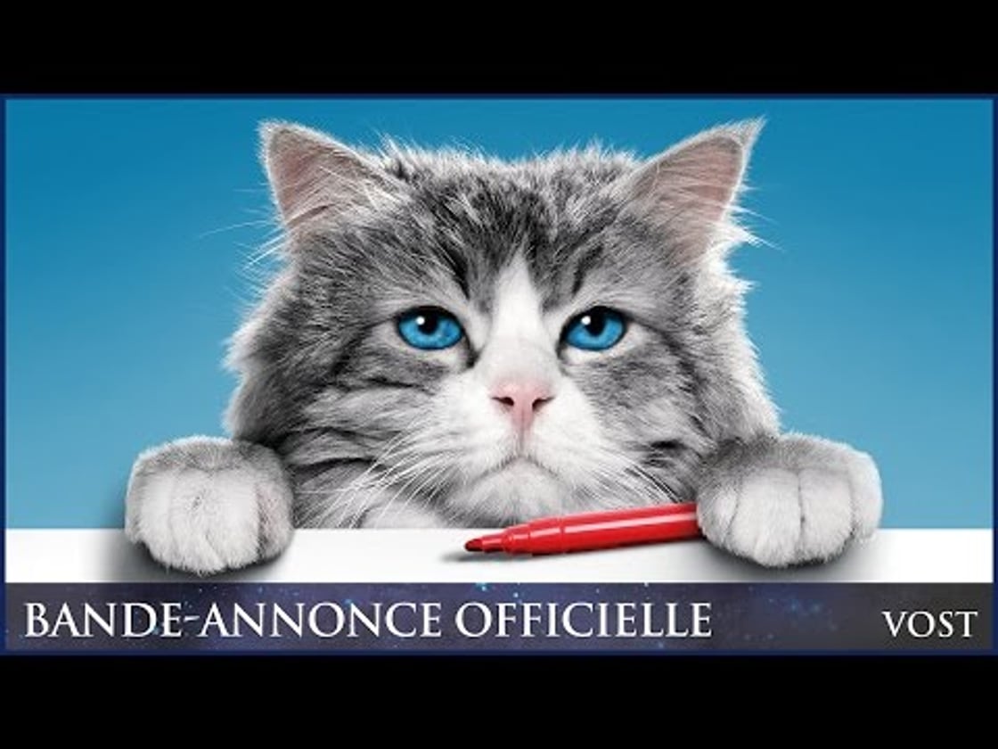Bande annonce de Ma Vie de Chat (VOST)
