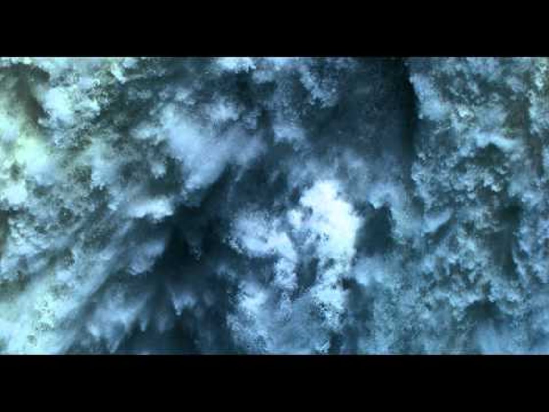 Bande annonce de The Tree of Life