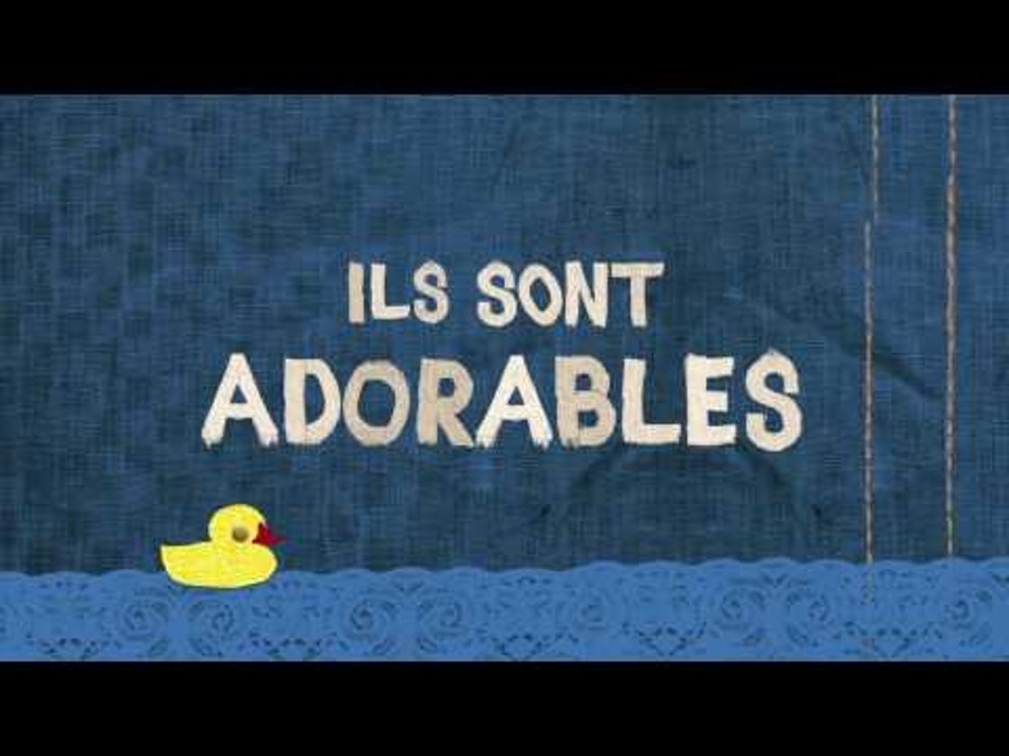 Bande annonce de MONSIEUR CHAT ET LES SHAMMIES