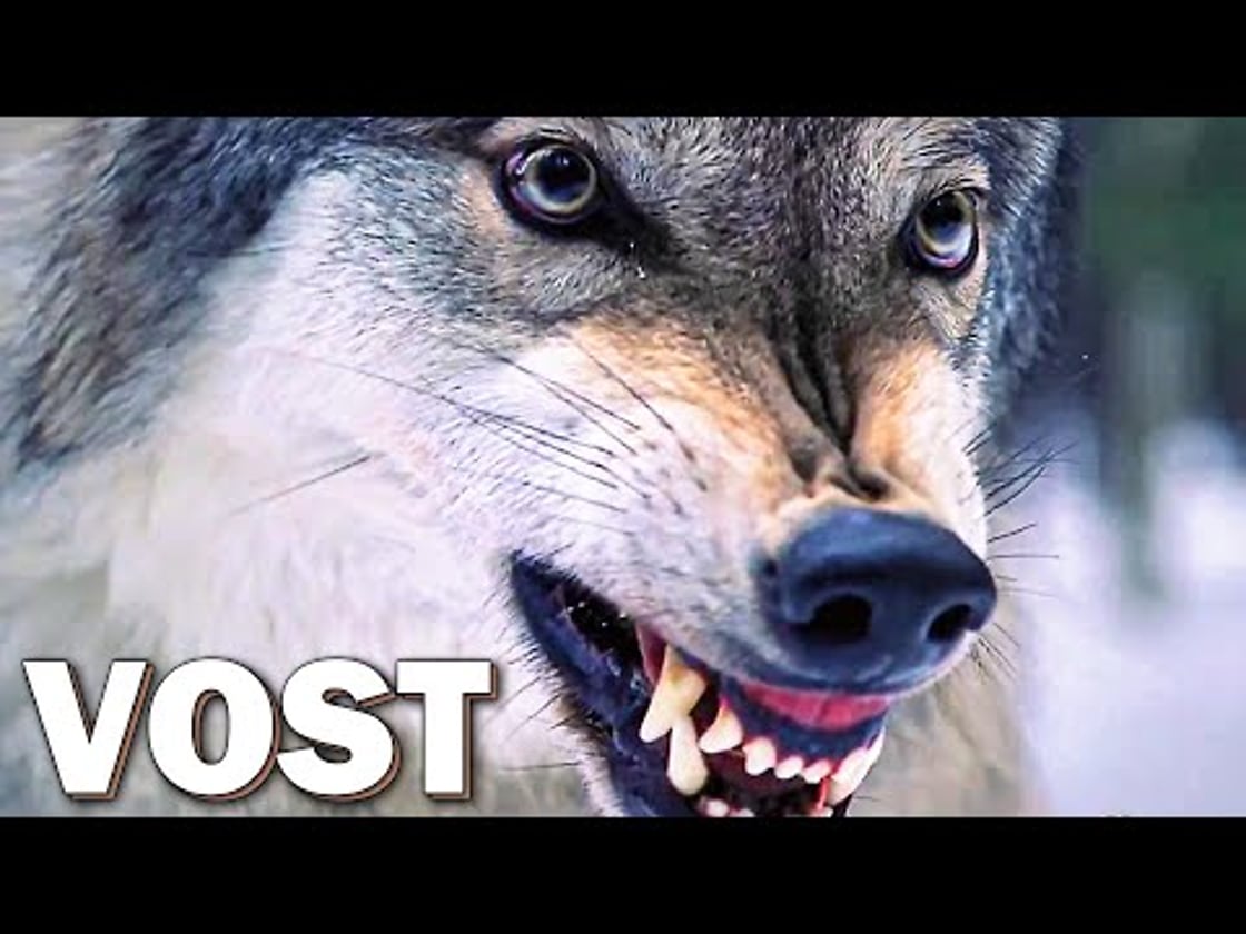 Bande annonce de UN PLAN PRESQUE PARFAIT