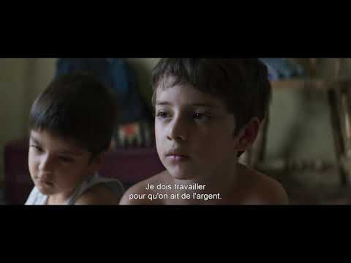 Bande annonce de Los Lobos