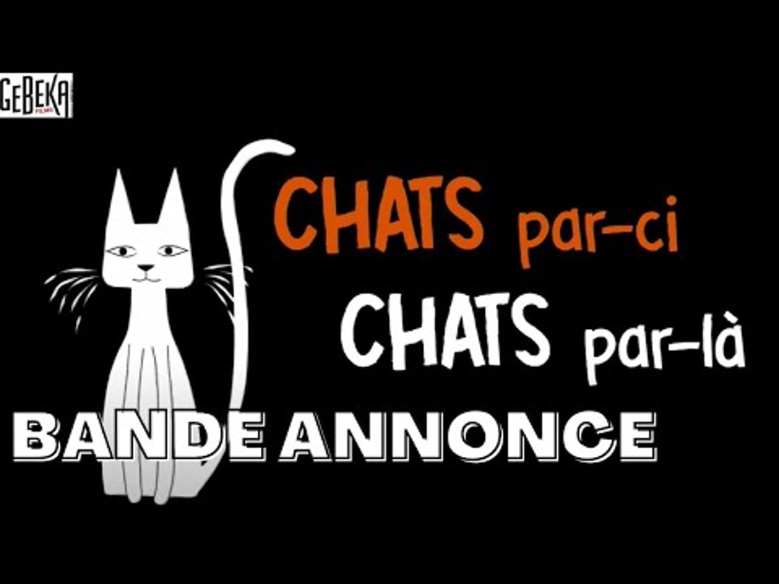 Bande annonce de CHATS PAR-CI, CHATS PAR-LÀ