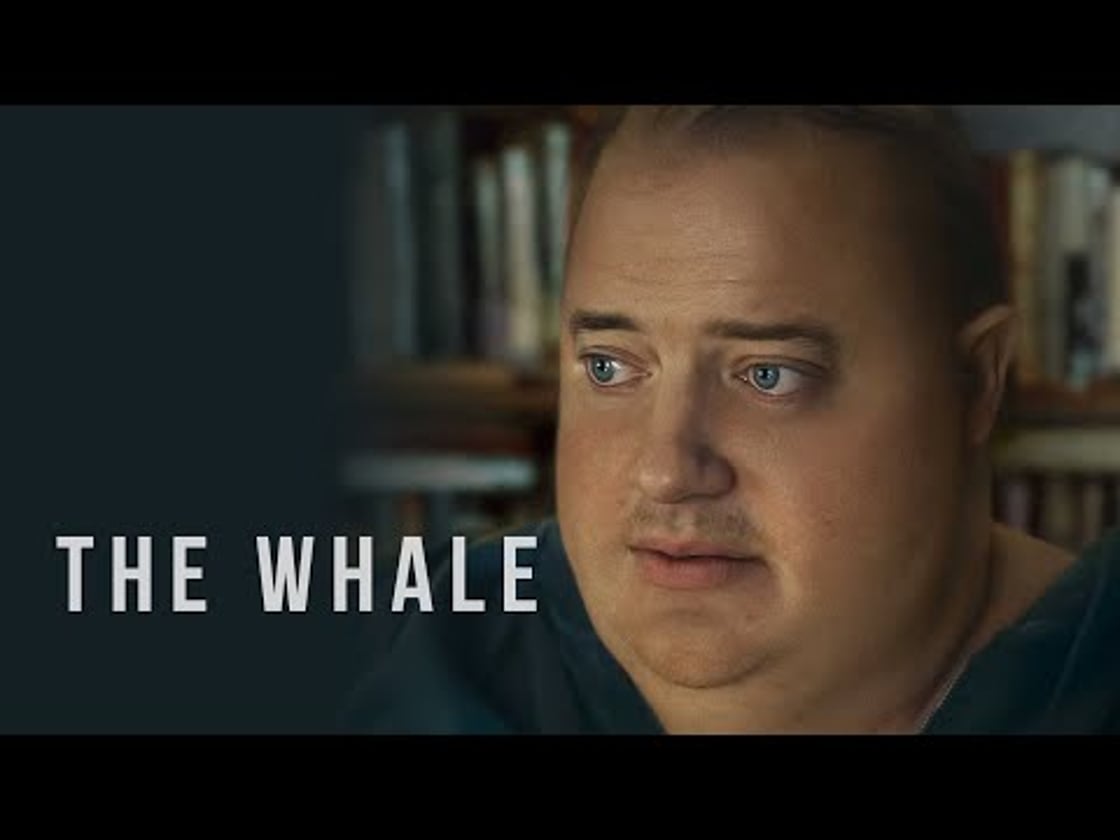 Bande annonce de The Whale