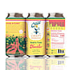 Coastal Craft Kombucha North Shore Nectar