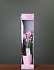 Mother's Day Orchid in Gift Box