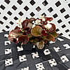 Wax Begonias
