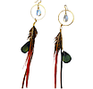 Lady Amherst Pheasant Moon