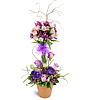 Elegant Embrace Topiary