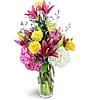 Spring All Year