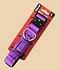 Tactical Collar Purple Large - Purple Large - Boss Dog 