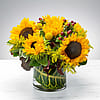 Sunny Sunflowers