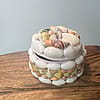 Sea Shell Treasure Box