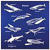 Printed Image Whales Bandanna